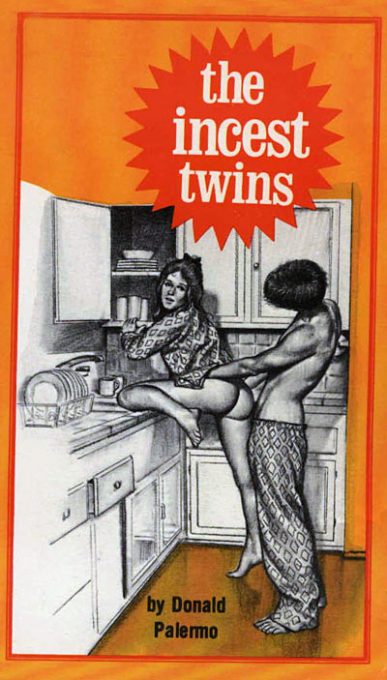 The Inc#st Twins by Donald Palermo
