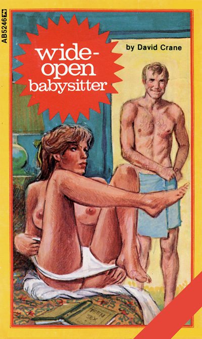 Wide-Open Babysitter by David Crane