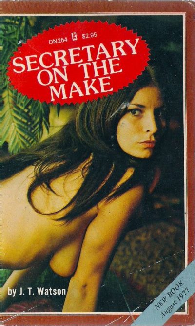Secretary On The Make by J. T. Watson