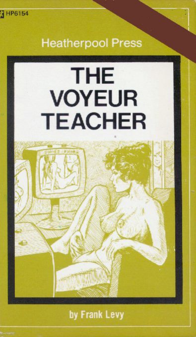 The Voyeur Teacher by Frank Levy